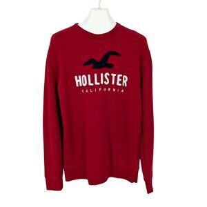 Hollister California Sweatshirt Men Size L Pullover Spell Out Logo Y2K Surf 90s